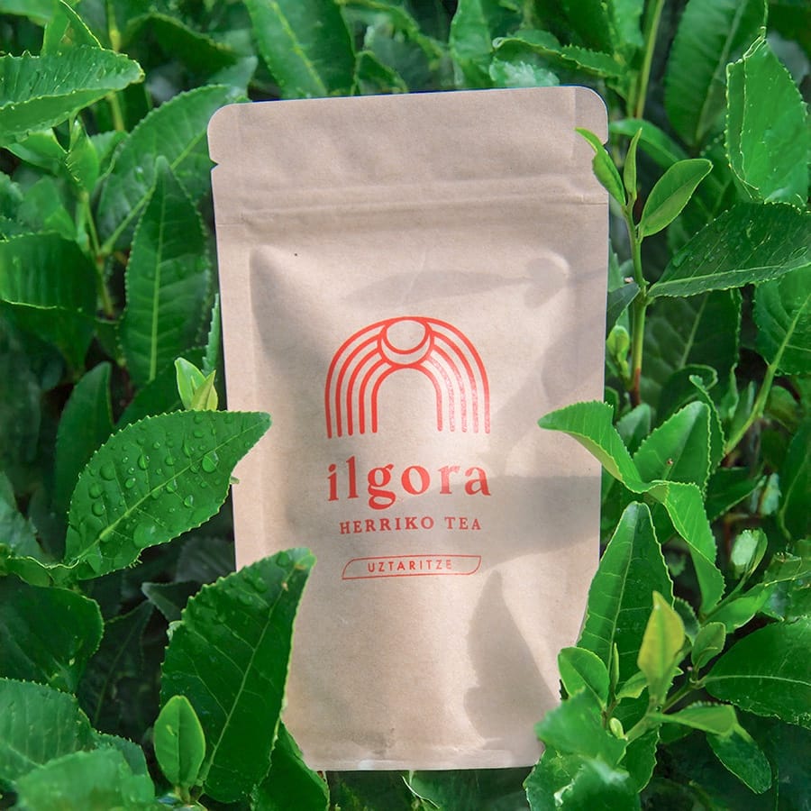 Thé noir d'été - Ilgora, thé Bio cultivé à Ustaritz, au Pays Basque