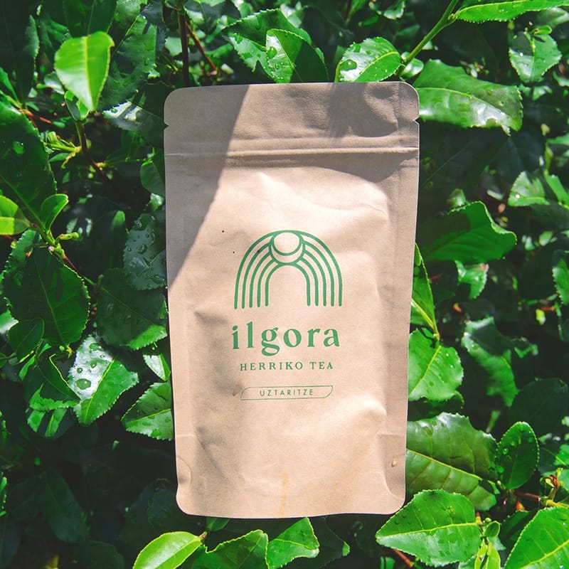 Thé vert Trévarez -  Ilgora, thé Bio cultivé à Ustaritz, au Pays Basque